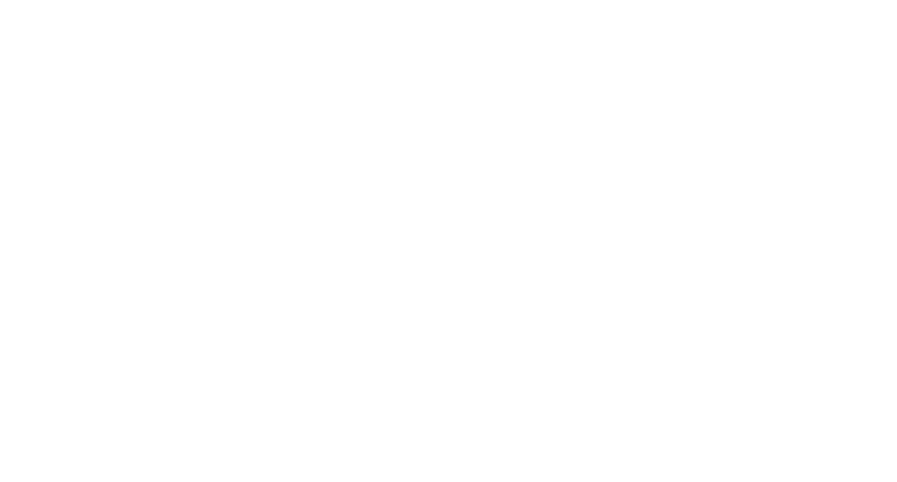 Amministratore Pro